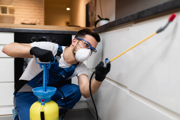 Best Flea Control Services  in Hays, MT