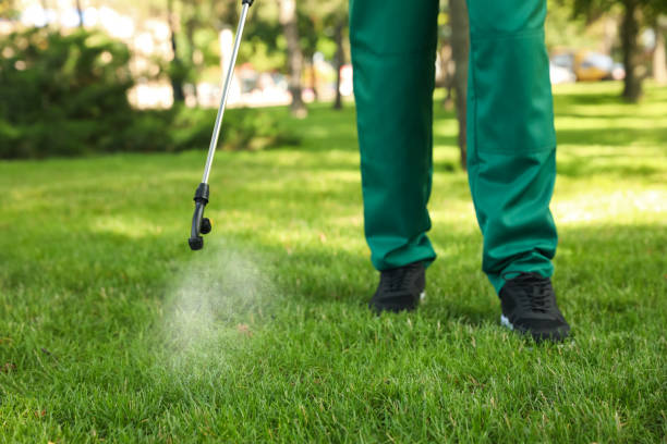Best Local Pest Control Services  in Hays, MT