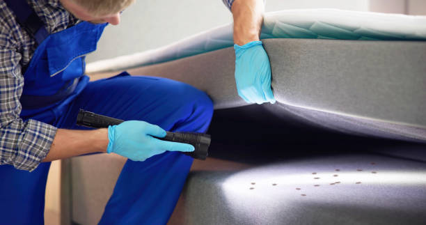Best Affordable Pest Control Services  in Hays, MT