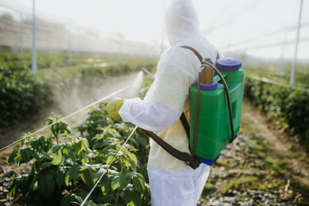 Best Pest Control Near Me  in Hays, MT